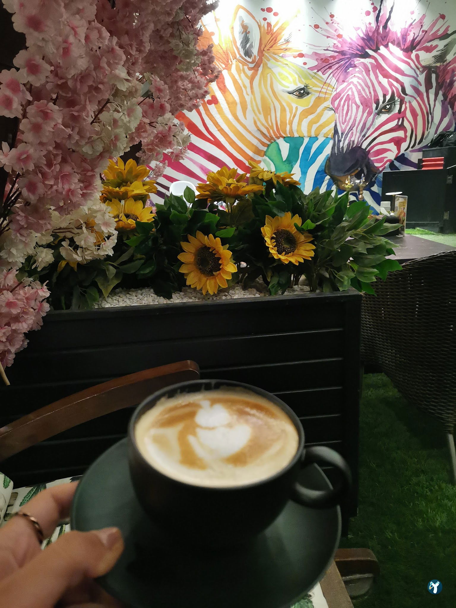 Kaktus Garden Cafe Restaurant