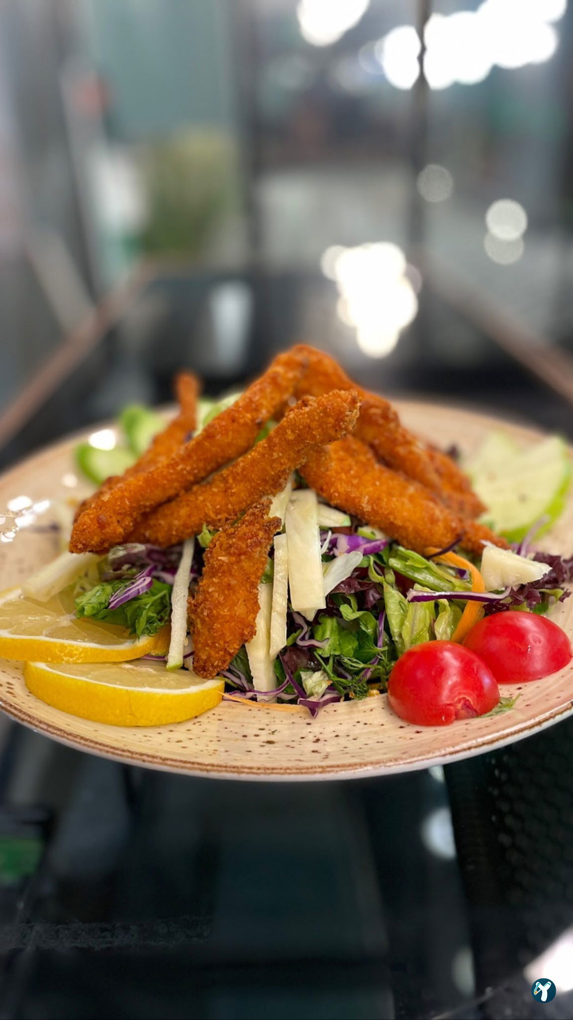 Kaktus Garden Cafe Restaurant