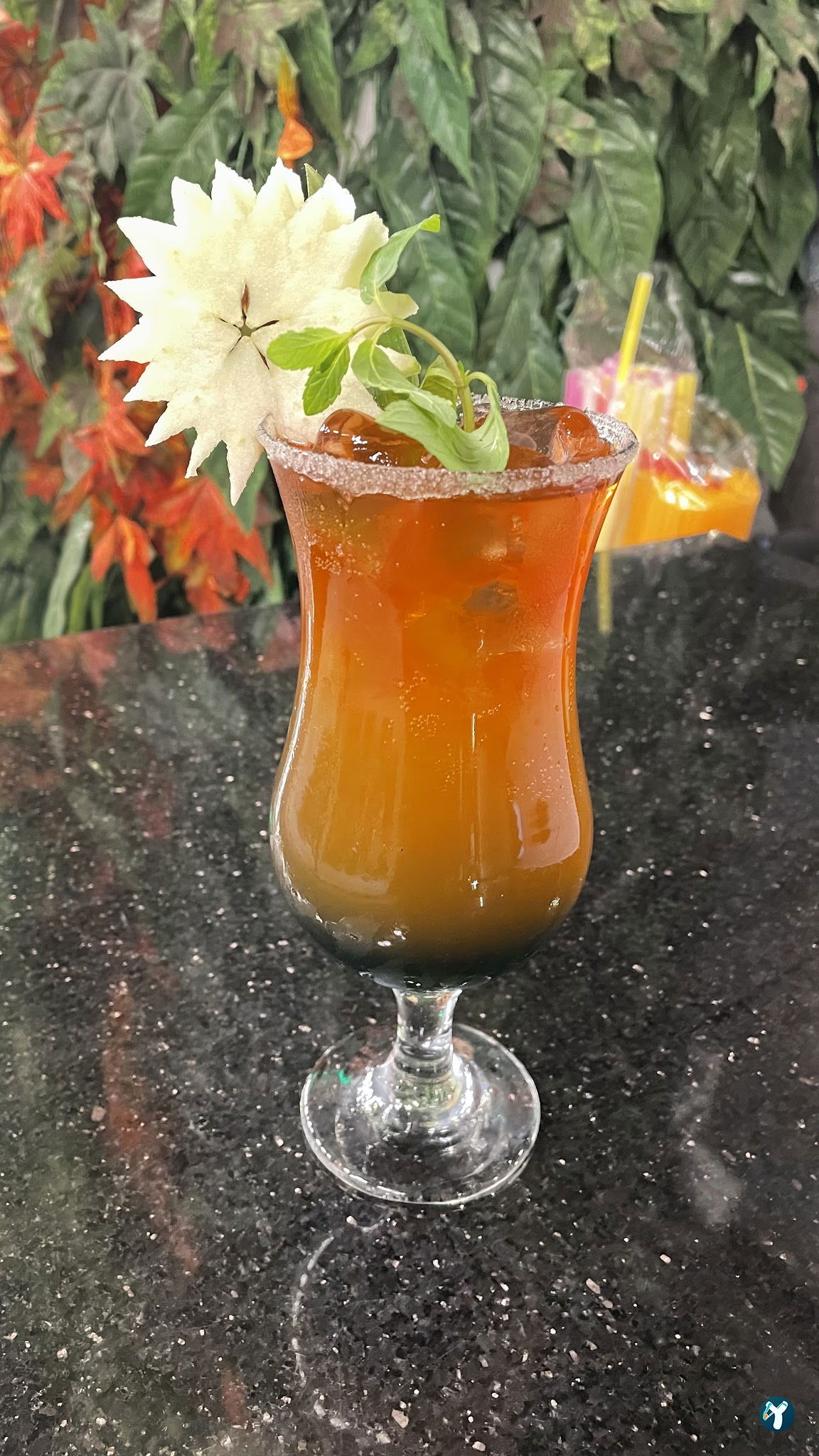 Kaktus Garden Cafe Restaurant