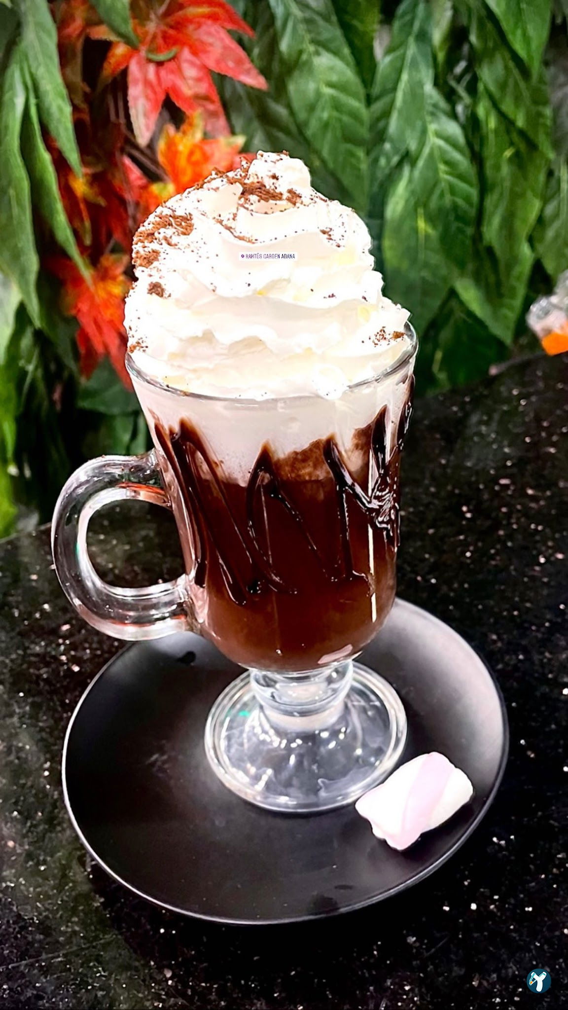 Kaktus Garden Cafe Restaurant
