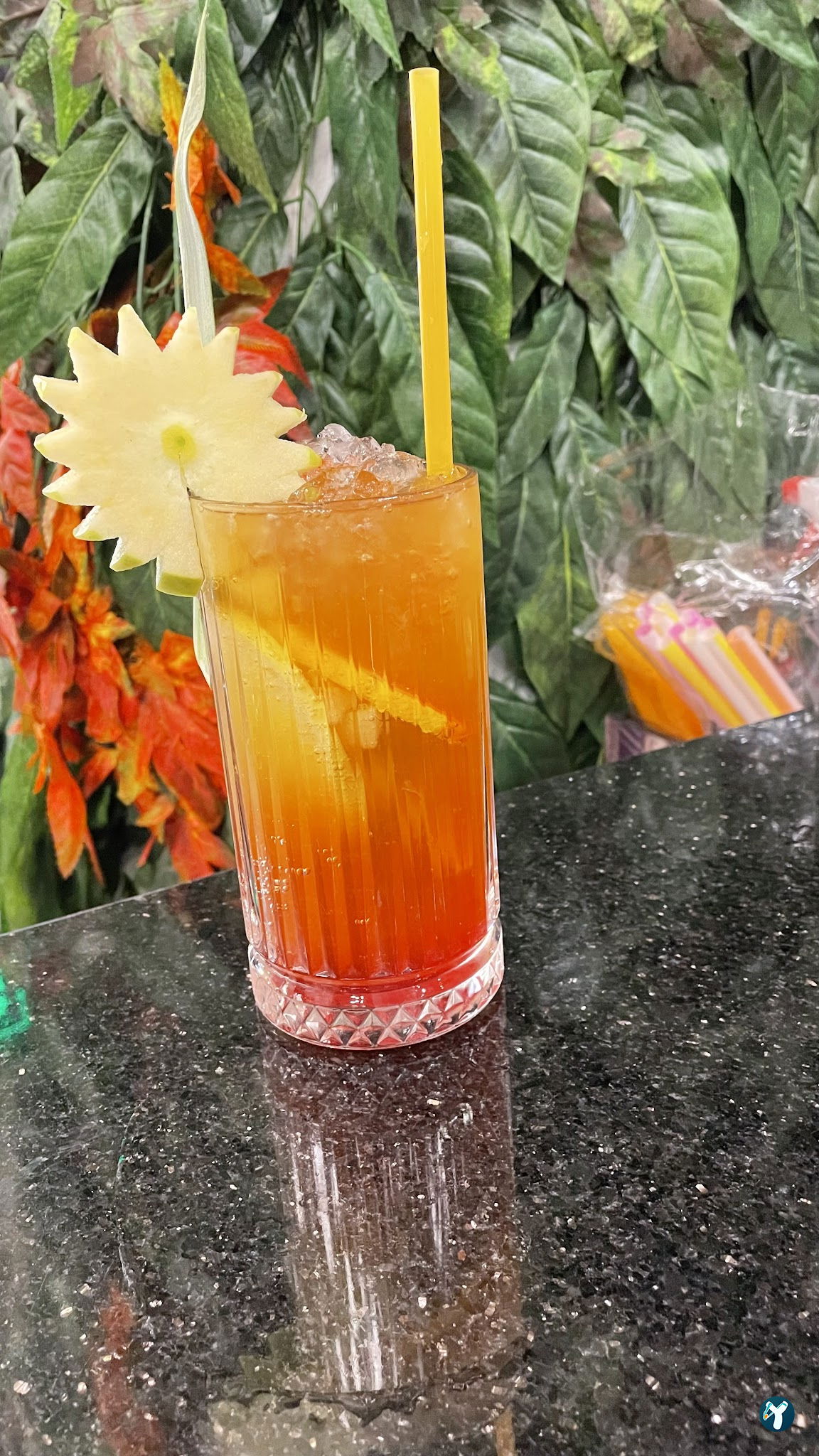 Kaktus Garden Cafe Restaurant