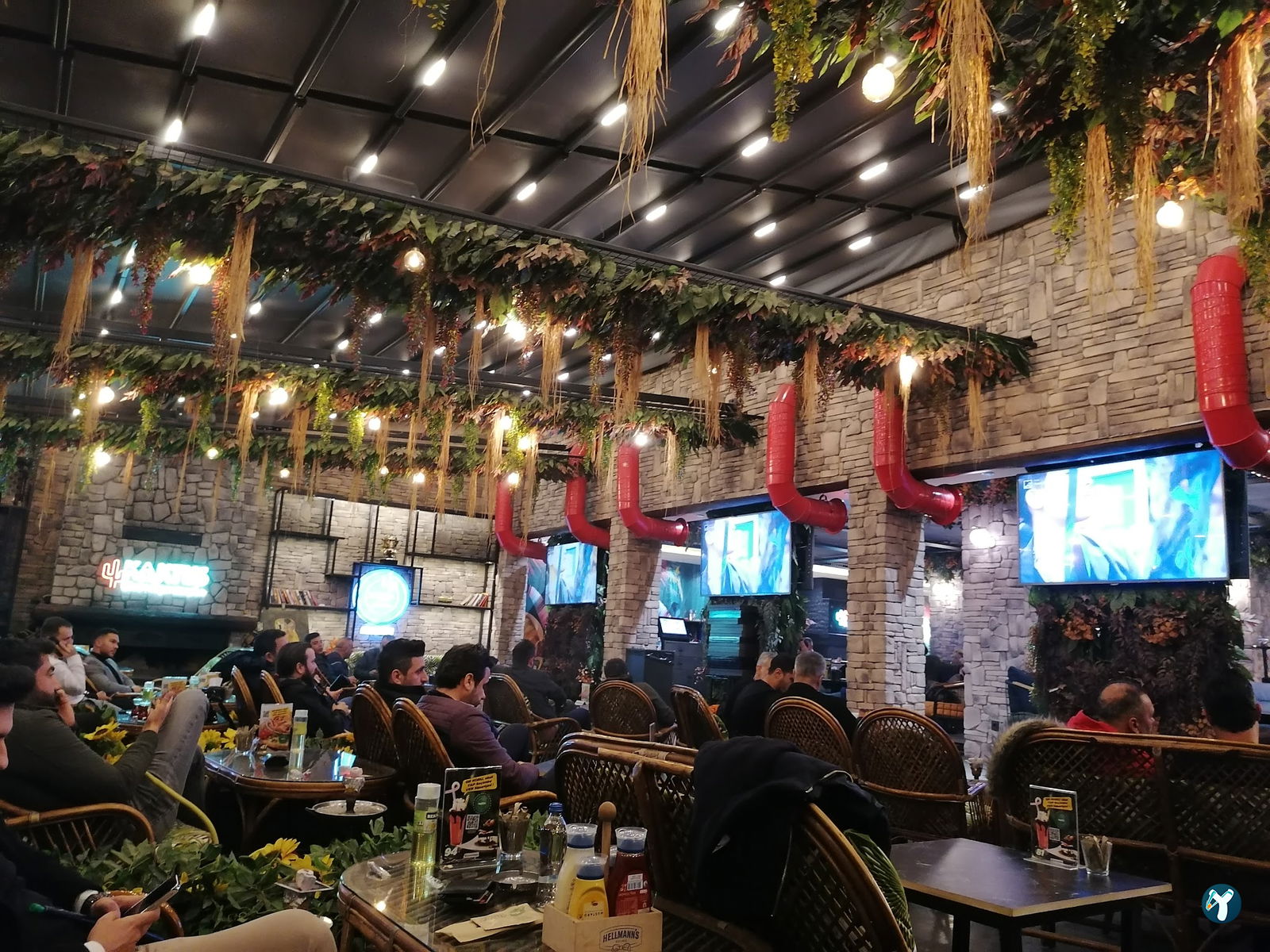 Kaktus Garden Cafe Restaurant