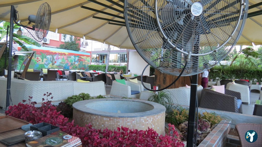 Kaktus Garden Cafe Restaurant